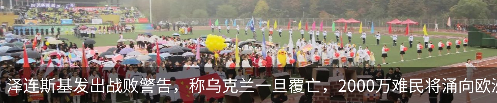 新闻动态