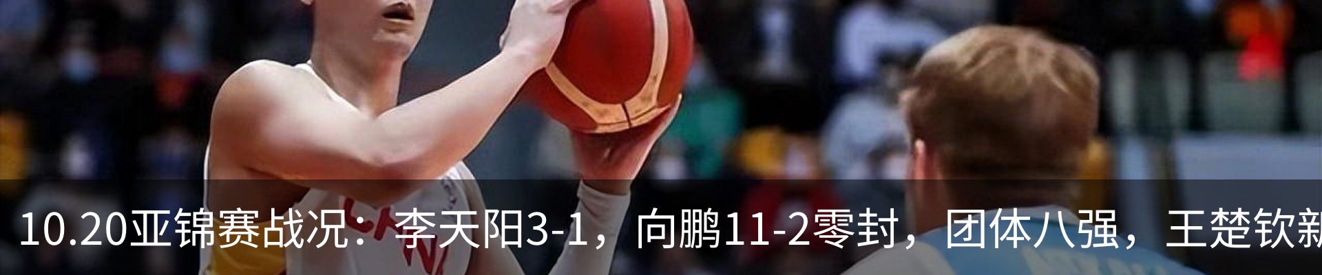 新闻动态